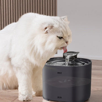 HydroPet™ Automatic Cat Fountain – Fresh Filtered Water Dispenser (UAE Limited Stock)
